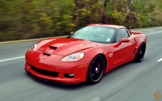 American Sports Car Parts & Accessories Business; 