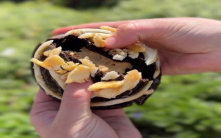 Ready-to-Operate Cookie Franchise-Your Sweetest 