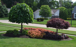 Very Stable Landscape and Tree Service Business Very Stable Landscape and Tree Service Business