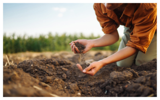 Patented Organic Material Processing