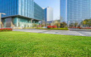 N2204 Growing Commercial Landscaping & Snow Removal Business for Sale