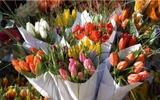 Turnkey High-End Florist with Renowned Designer Turnkey High-End Florist with Renowned Designer