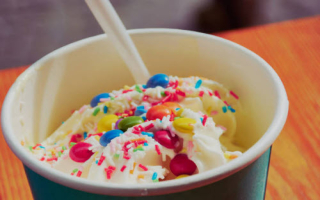 Yogurt Shop Franchise Business for Sale