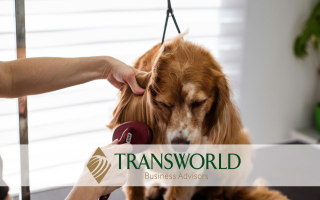 Established Dog Grooming Business 