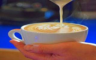 Specialty Coffee Roaster & Cafe in the Mountain 