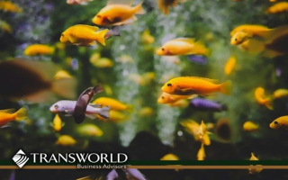 South Florida Aquarium Store Est 20 Years