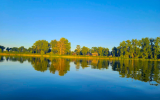 Chiropractic Practice for Sale in Morris, MN 