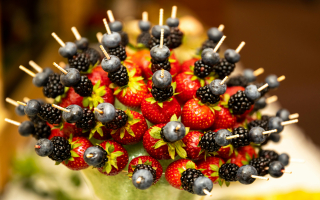 Edible Arrangements Franchise Resale
