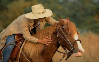 Prestigious Horse Saddle Manufacturer