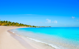 Chiropractic Practice for Sale in Key West FL