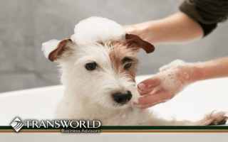 Beautiful Turn-Key Pet Grooming and Self-Service