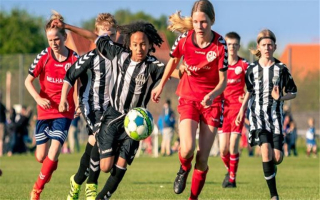 Youth Sports Program -Turnkey Business