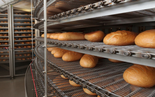 South Florida Wholesale Manufacturing Bakery – Turn-Key Asset Sale