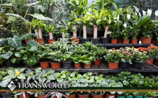 Established Nursery with Valuable Real Estate Established Nursery with Valuable Real Estate