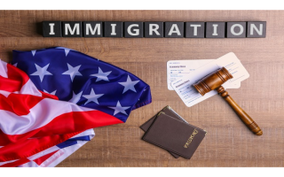 Immigration Law Practice with Steady Client Base