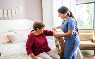 Coastal Virginia In-Home Care Franchise Business for sale