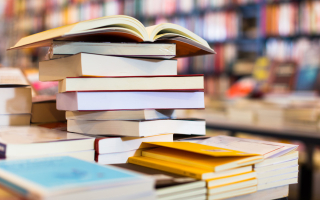 Niche Language Media Distributor with Dominant