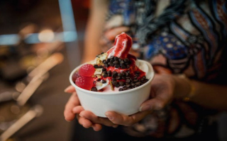 Multi-Unit Frozen Yogurt Stores - 3 Prime Virginia Locations!