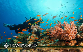 Outdoor Lifestyle & Marine Gear Brand for Sale Outdoor Lifestyle & Marine Gear Brand for Sale