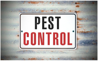 Establised Pest Control Biz - Recurring Revenue