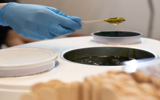 Well Established Waxing Franchise 