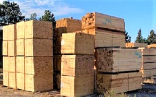 Building Materials and Lumber Wholesale / Retail Building Materials and Lumber Wholesale / Retail