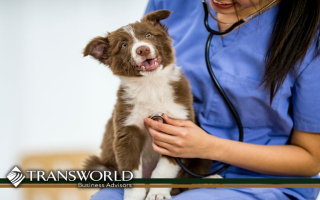 Great Opportunity Mobile Vet Hospital