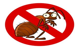 Pest Control Company in Northern Virginia/DC