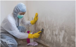 Turnkey Restoration and Remediation Company TBH627