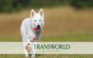 Fabulous Dog Training & Boarding Facility Fabulous Dog Training & Boarding Facility