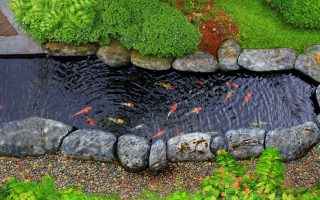 Aquatic B2B Service (Recurring Contract Revenue) Aquatic B2B Service (Recurring Contract Revenue)