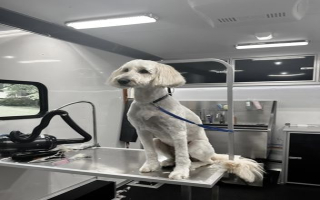 Successful Mobile Pet Grooming Business - 4 Vans Successful Mobile Pet Grooming Business - 4 Vans