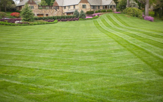 Growing Lawn Care Business-Great Systems and Staff