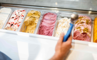 Exceptional Ice Cream Business 