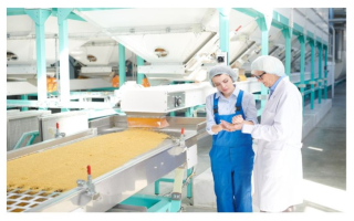 Food Manufacturing Business for Sale in Nevada