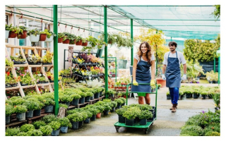 Garden Ctr in Ski Town - $100k in 6 Months! Garden Ctr in Ski Town - $100k in 6 Months!