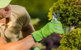 2 Indianapolis Area Plant Nurseries 2 Indianapolis Area Plant Nurseries