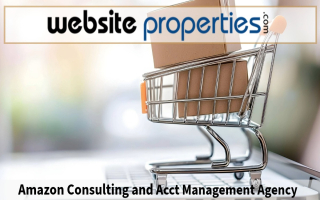 Amazon Consulting and Acct Management Agency