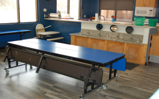 Established Profitable Child Day Care Center