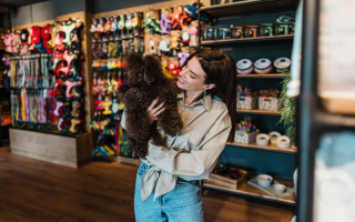 Premier Pet Industry Business in Exclusive Nantuck Premier Pet Industry Business in Exclusive Nantuck