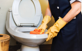 Maid Cleaning Services - Maryville/Loudon/SE Knox