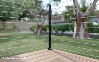 Established Business with Strong Growth Potential