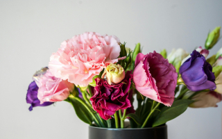 Florist Florist