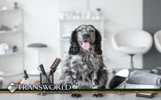 Pamper Pups & Profits – Grooming Biz for Sale! Pamper Pups & Profits – Grooming Biz for Sale!