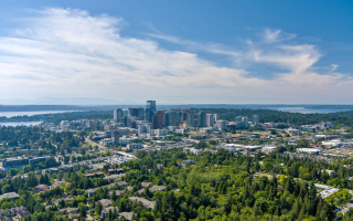 Chiropractic Practice for Sale in Bellevue WA Area