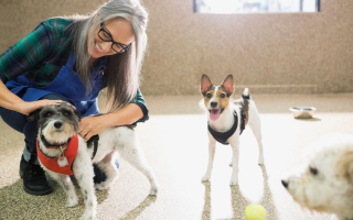 Northern WI Pet Care Facility - RE Included Northern WI Pet Care Facility - RE Included