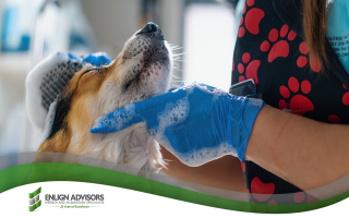 High Demand Multi Territory Mobile Pet Grooming High Demand Multi Territory Mobile Pet Grooming