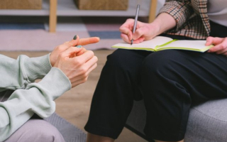 Computer Voice Stress Analyzer