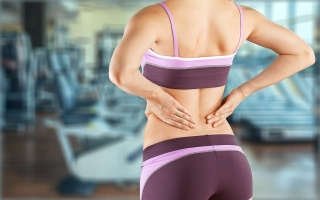 Physical Therapy Business Physical Therapy Business