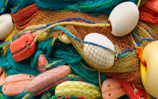 Turnkey Seafood Wholesaler with Real Estate  Turnkey Seafood Wholesaler with Real Estate